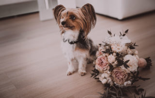 Hochzeit in Herford Moor Ranch Getting Ready Brautjungfern Morgen der Braut Hochzeitsfotografin Natalja Frei Hochzeitsvideograf Hannover Sergej Hund