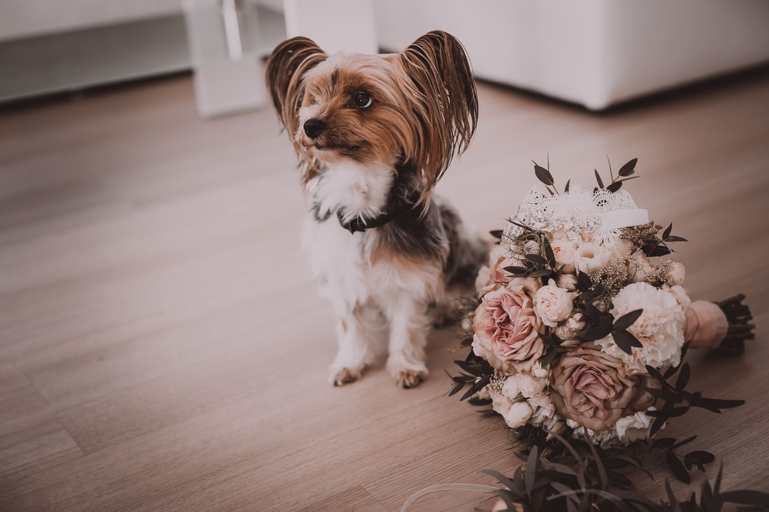 Hochzeit in Herford Moor Ranch Getting Ready Brautjungfern Morgen der Braut Hochzeitsfotografin Natalja Frei Hochzeitsvideograf Hannover Sergej Hund